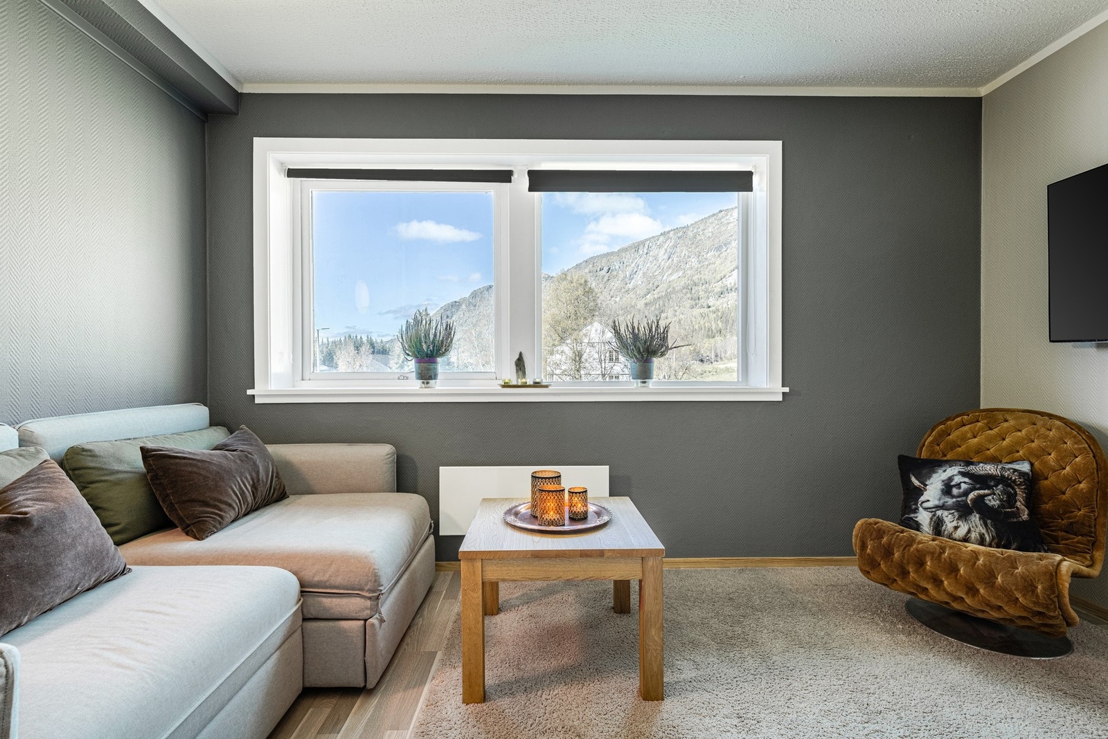 Stue med sovesofa. Galleribilde