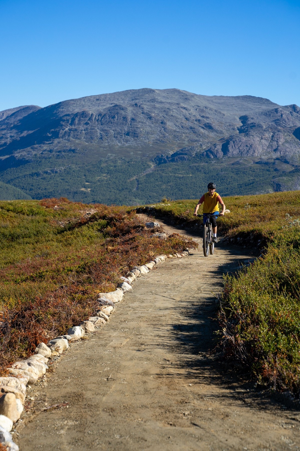 Stolheisen går i sommerferien og i høstferie. Galleribilde