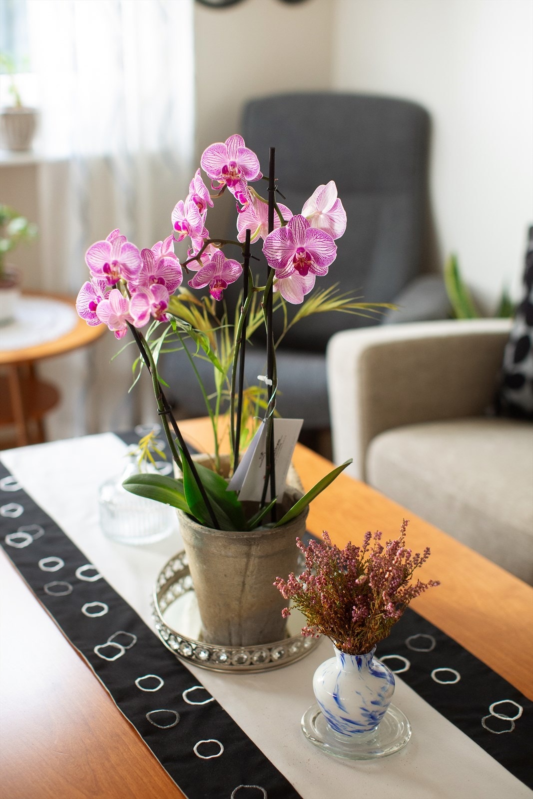 06112025_21.jpg Galleribilde