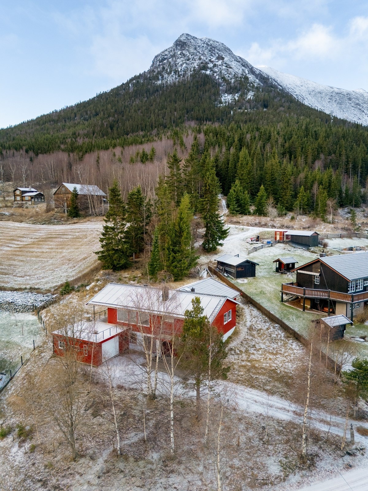 Velkommen på visning! Galleribilde