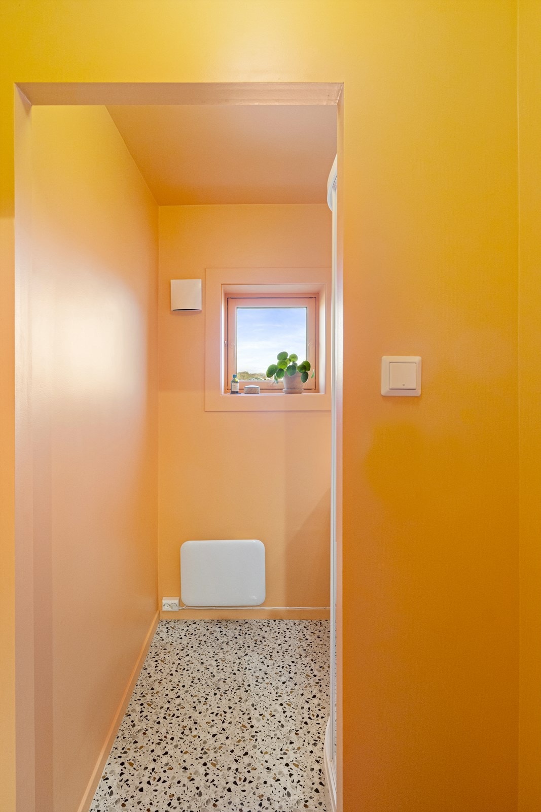 Bad i sprek korrallfarge man blir glad av Galleribilde