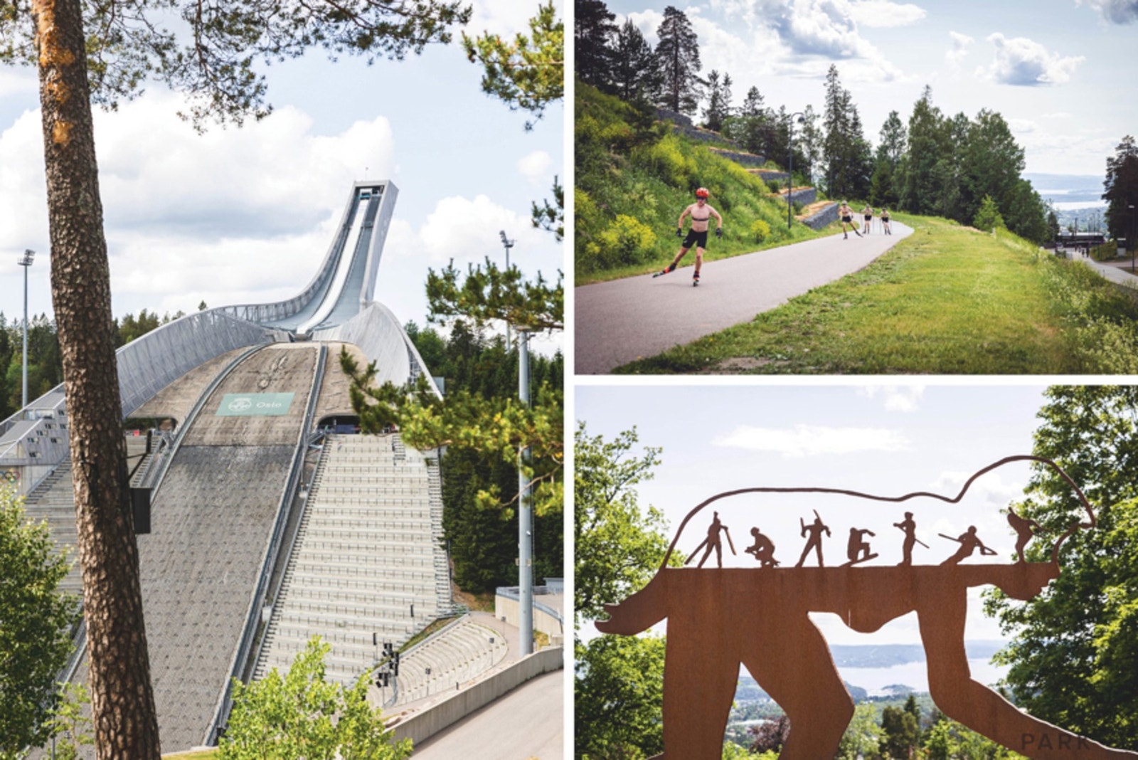 Holmenkollen - Alt av nordiske grener, åpen for alle, sommer som vinter. Galleribilde