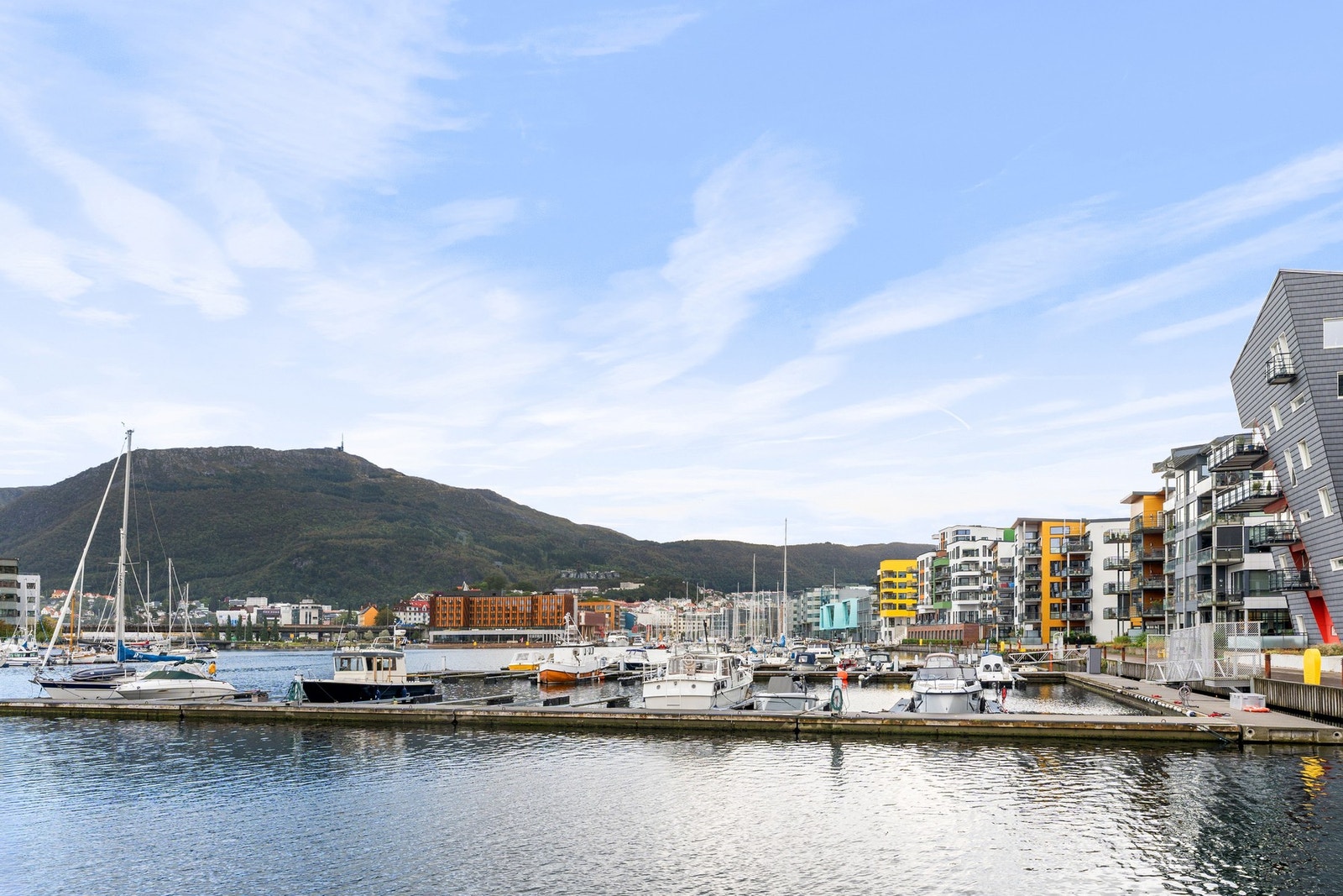 Nydelige Damsgårdssundet. Galleribilde