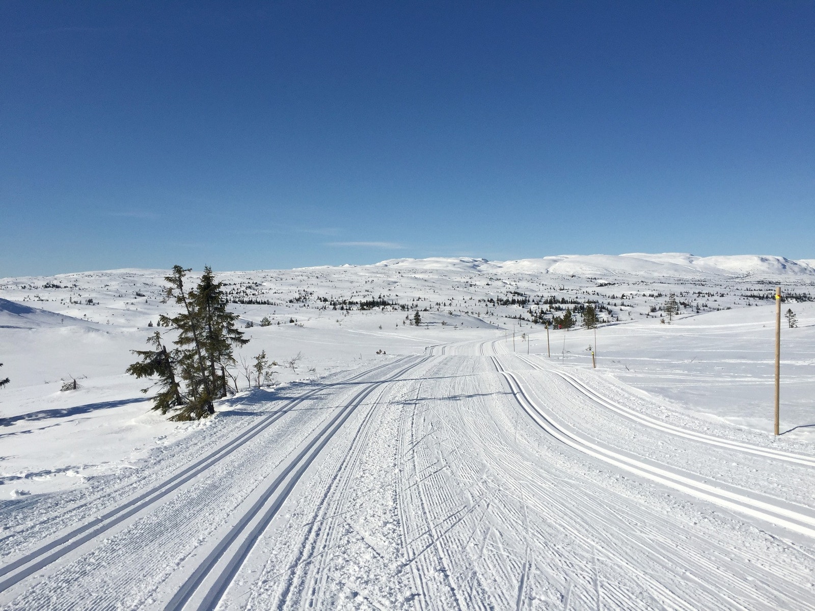 Flotte skiløyper innover Galleribilde