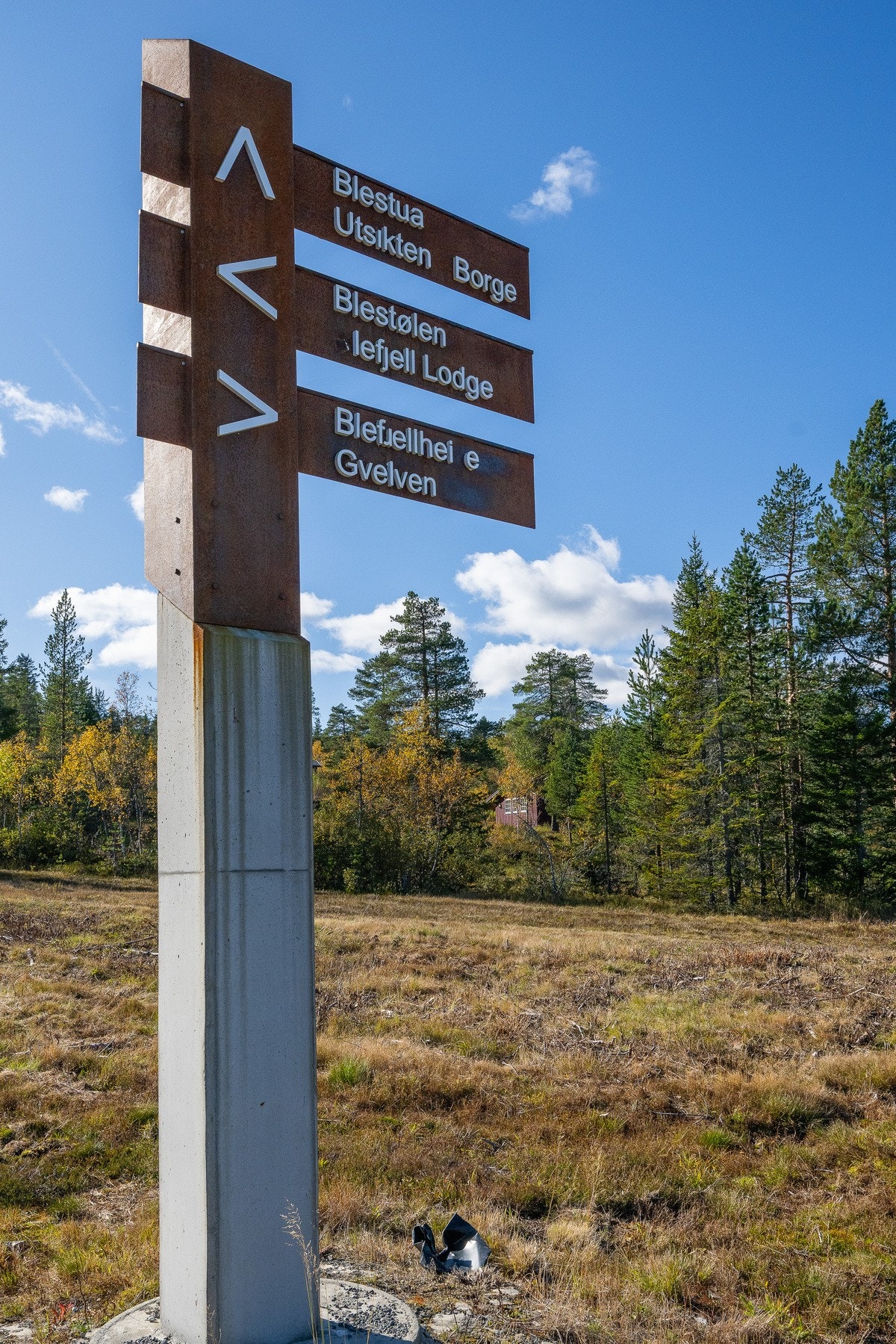 Fine turstier også på sommerstid Galleribilde