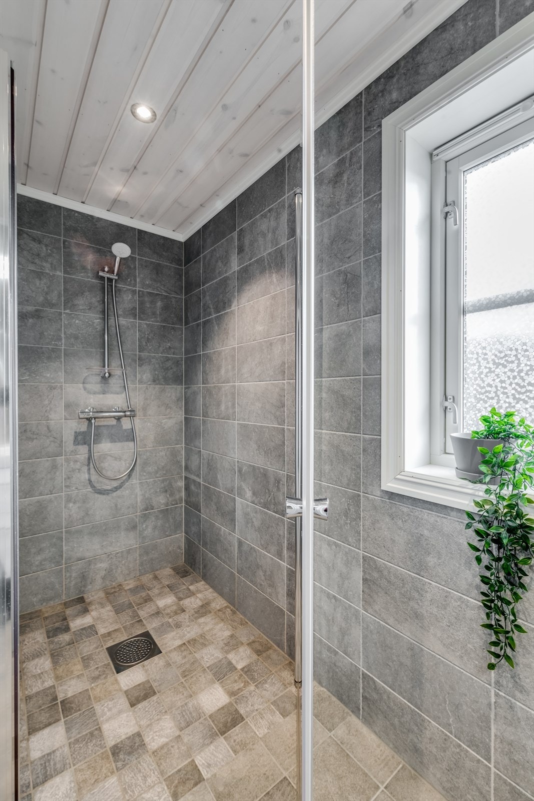 Dusjnisje med dusjdør i herdet glass og downlights i himling. Galleribilde