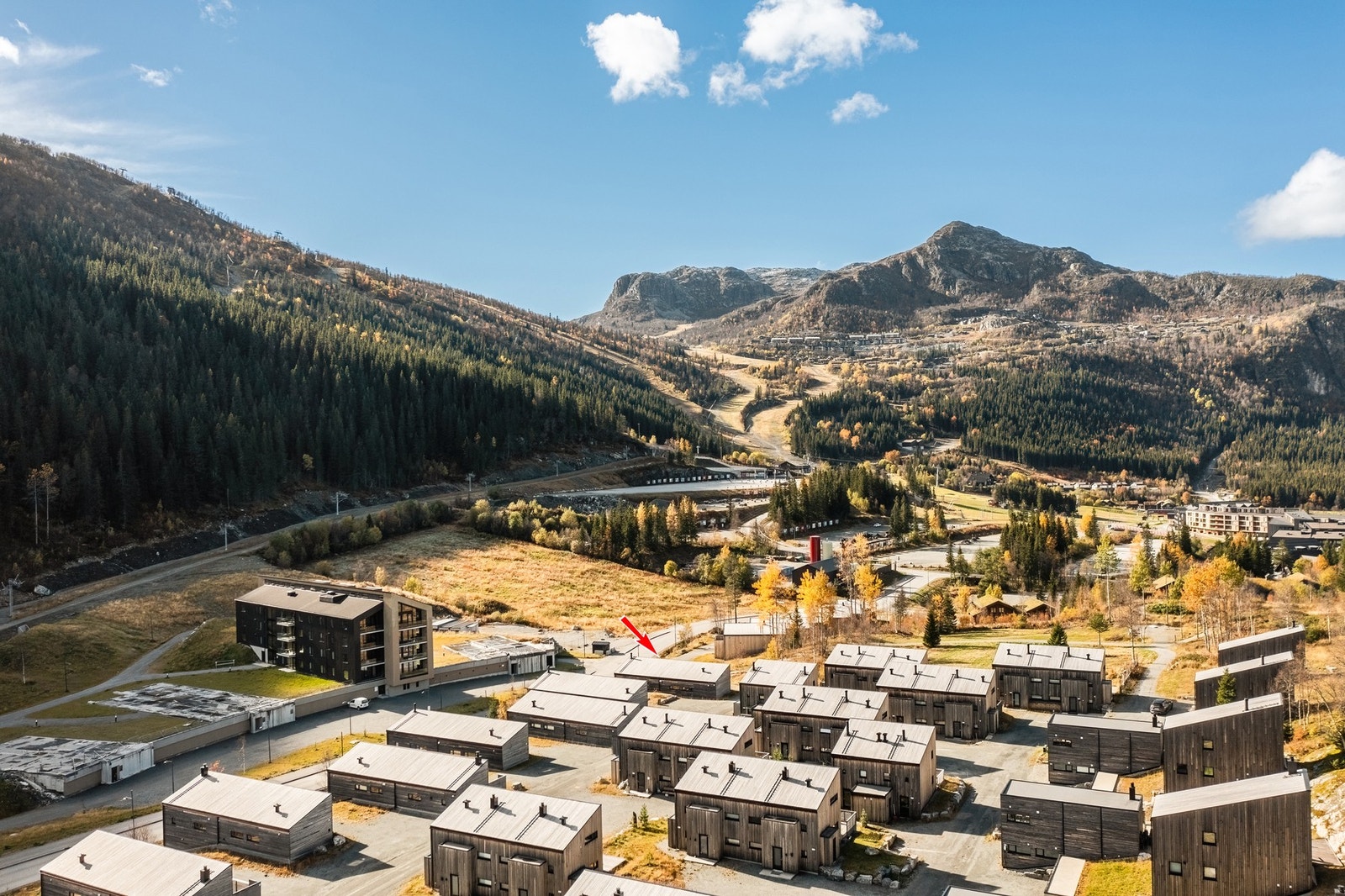 Nærområdet er tilrettelagt for å gjøre ditt opphold på fjellet så sømløst som mulig - her har du ski innut til både langrenn og alpint og gangavstand til Hemsedal sentrum og Fjellandsbyen. Galleribilde
