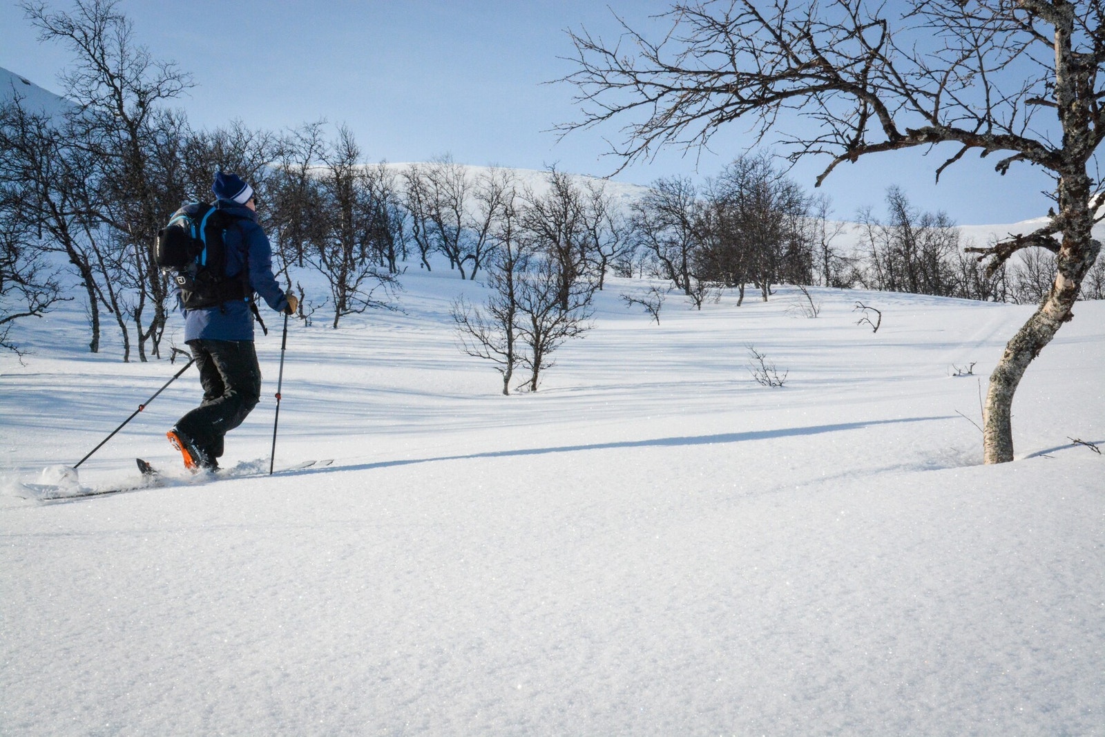 Området har flotte toppturmuligheter Galleribilde