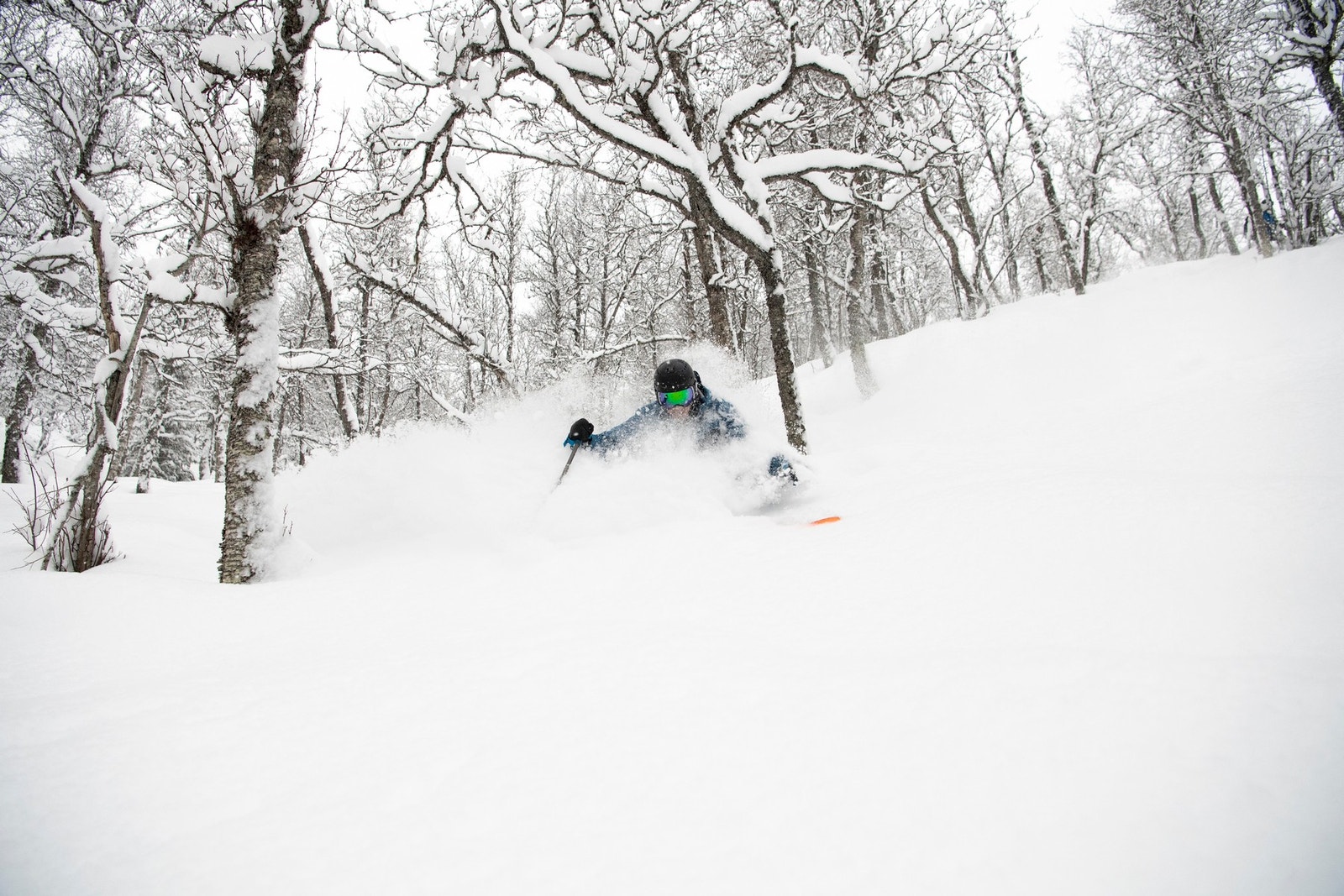 Topptur og offpiste i Hemsedal kan gi deg de villeste naturopplevelsene! Galleribilde