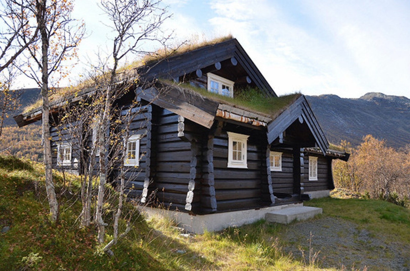 Det er magisk i Mørekvamdalen sommer som vinter! Galleribilde