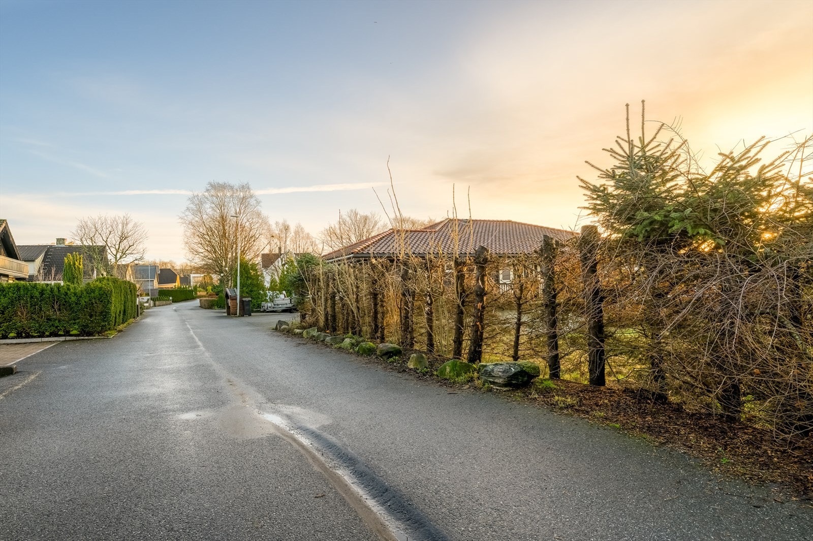 Adkomst Galleribilde