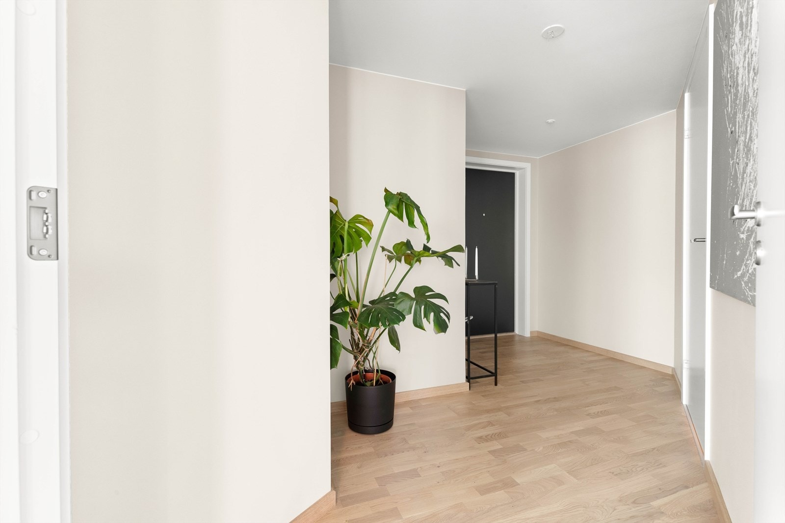 Velkommen inn! Leiligheten har adkomst via heis og felles trappegang. Galleribilde