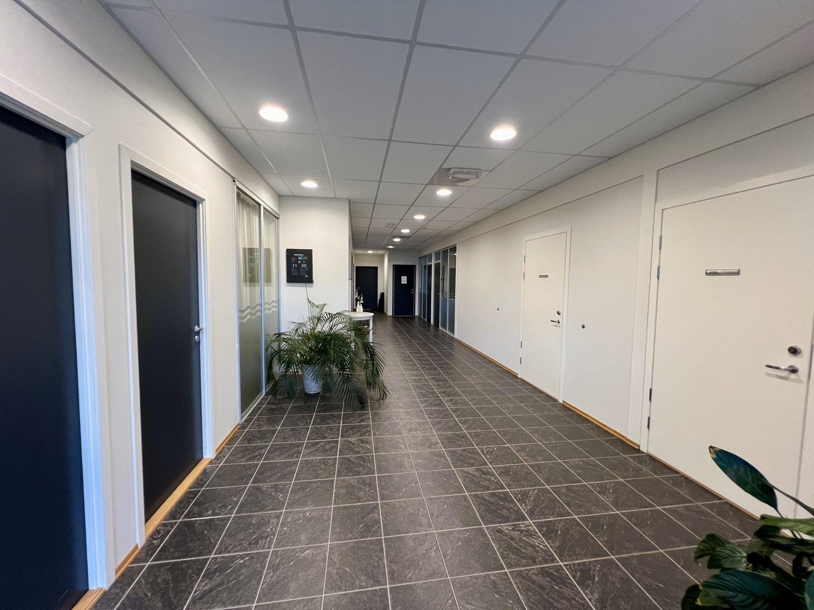 Fellesgang Galleribilde