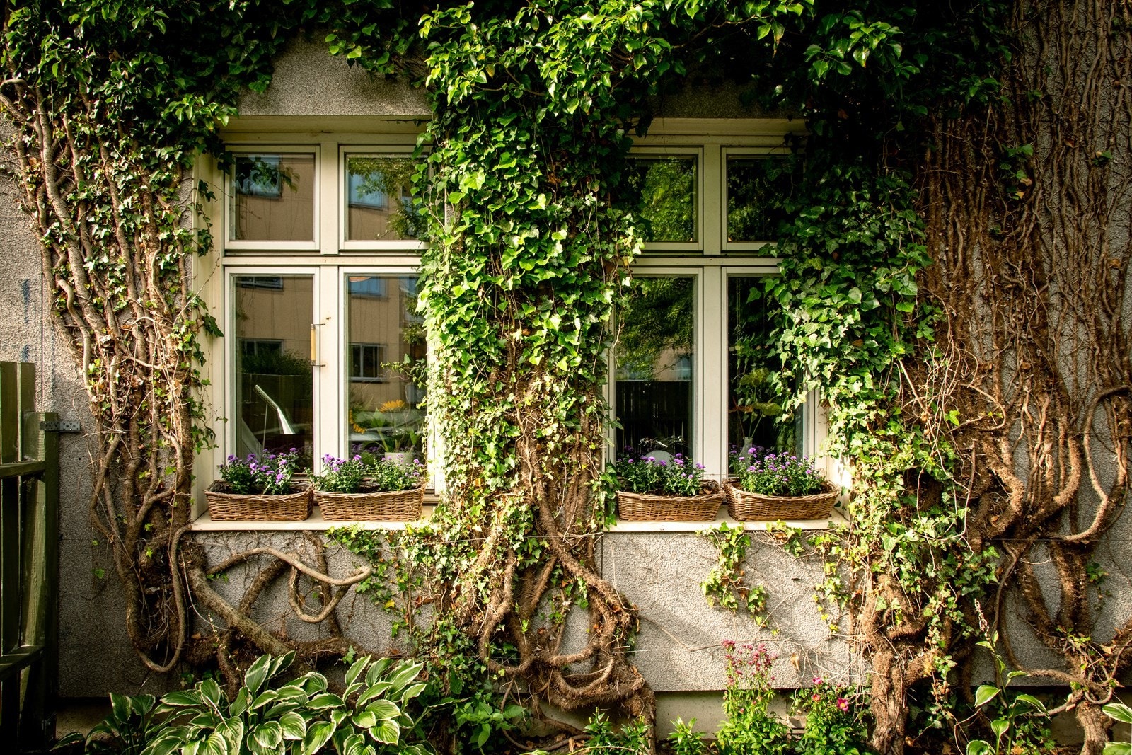 En skjult perle i et rolig nabolag Galleribilde