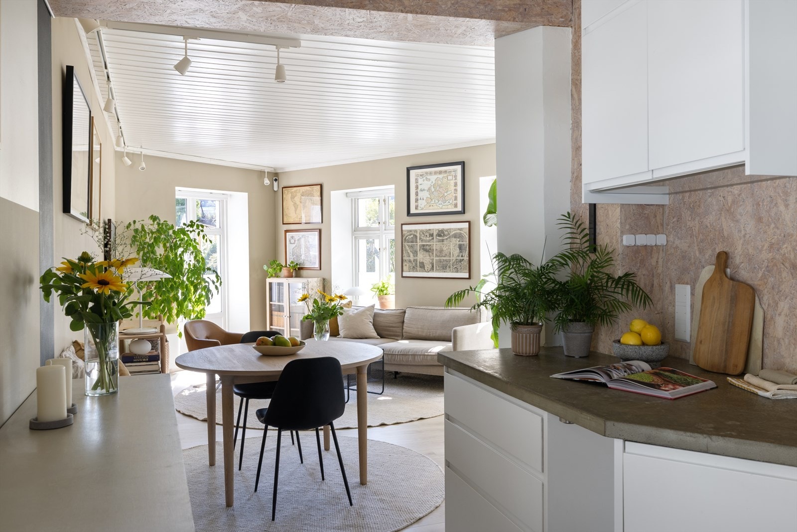 Rommets utforming gir en sosial og åpen atmosfære, godt tilpasset sosialt liv Galleribilde