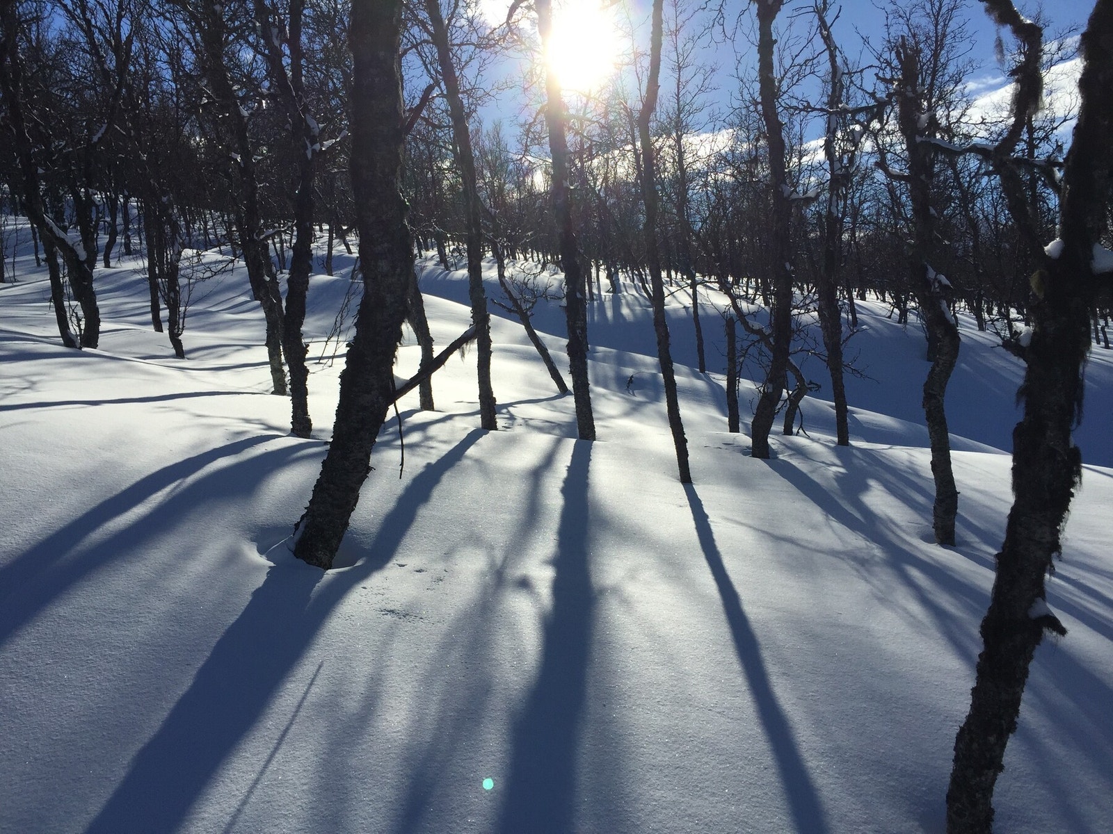 Vinterstemning Galleribilde