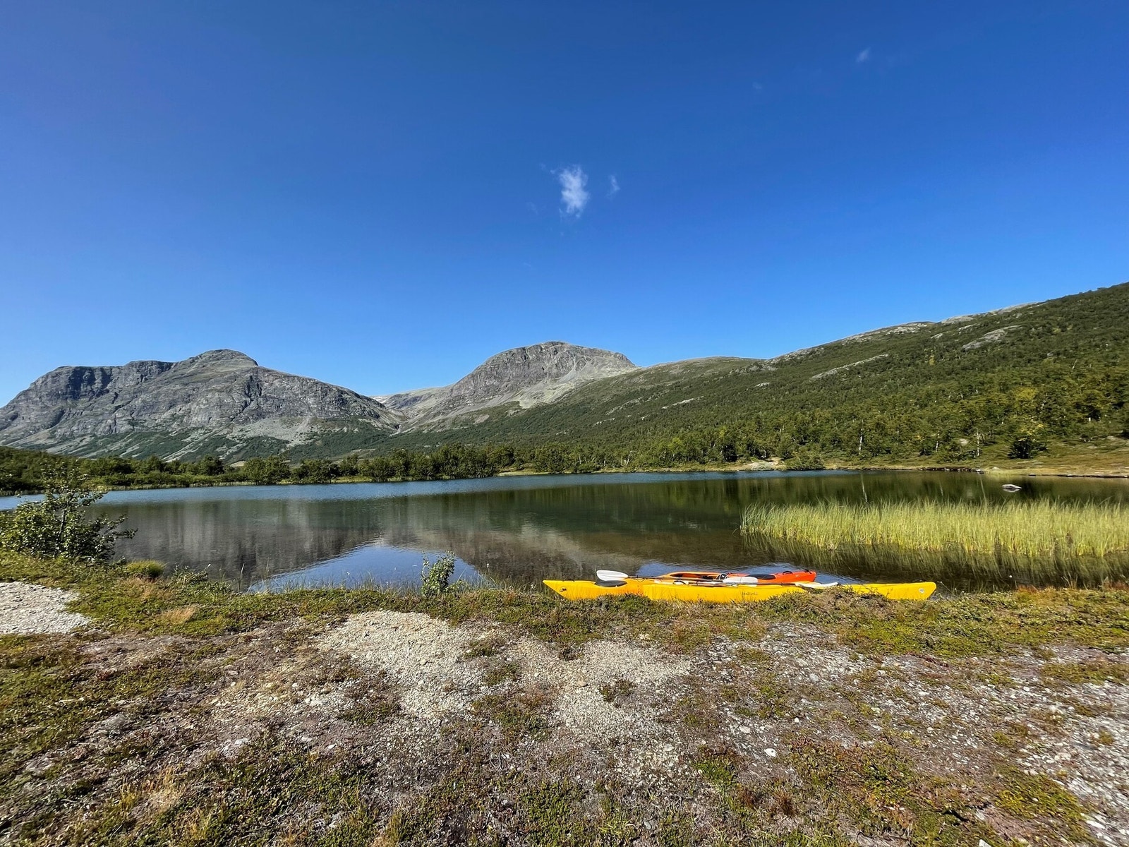 Kanopadling i Hydalen Galleribilde