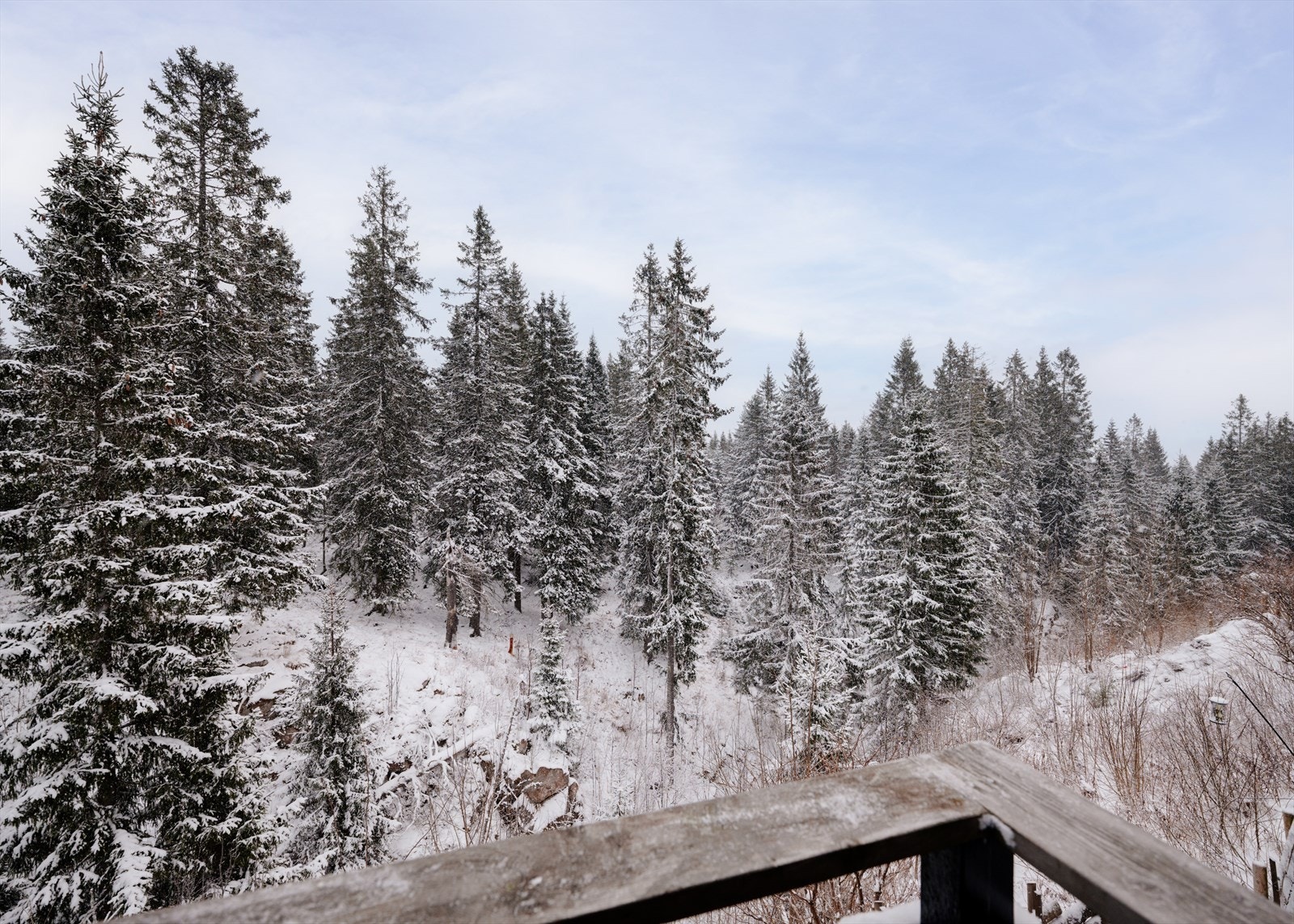 Den tilbaketrukne beliggenheten gir en sjelden kombinasjon av ro, privatliv og umiddelbar nærhet til naturen. Eldorado for barnefamilier Galleribilde