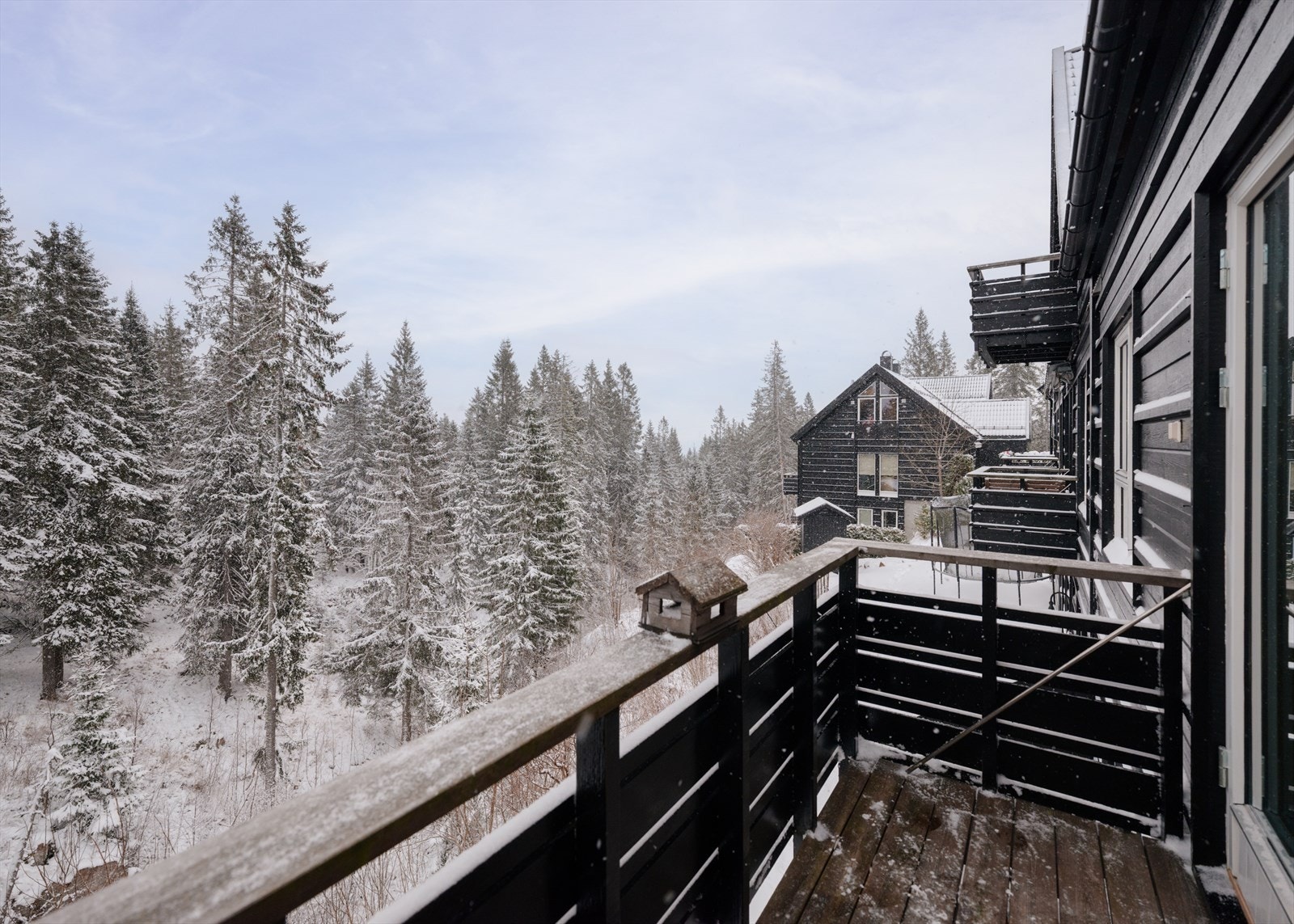 Fredelig og tilbaketrukket i grønne omgivelser med fin morgensol og frisk luft Galleribilde