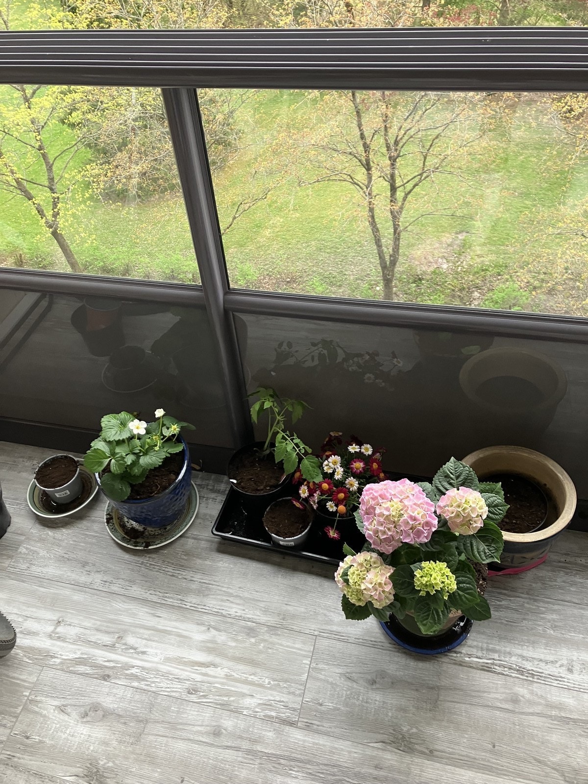 Balkongen er innglasset og med solavskjerming Galleribilde