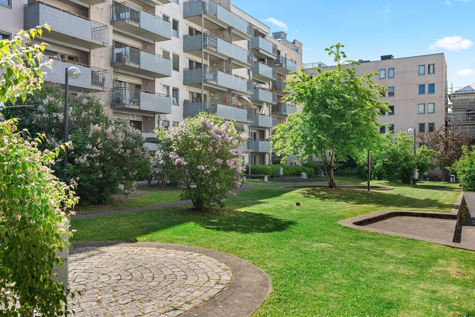 Bakgård Galleribilde