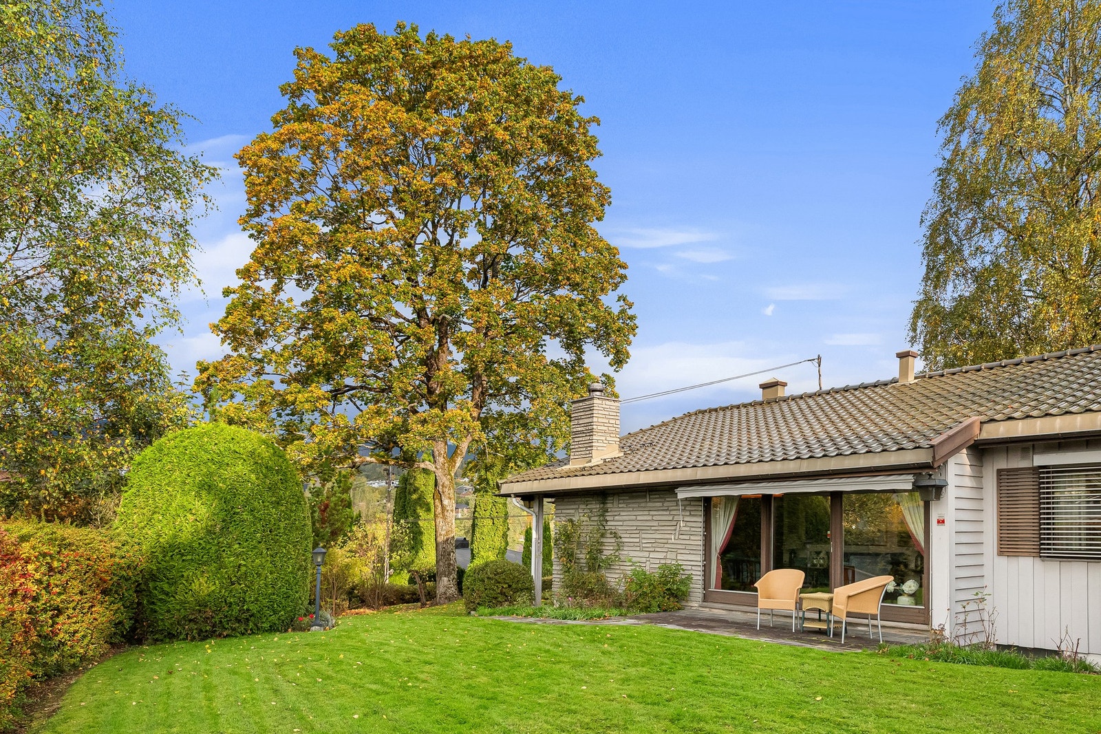 Bjerkeholtet 3 Galleribilde