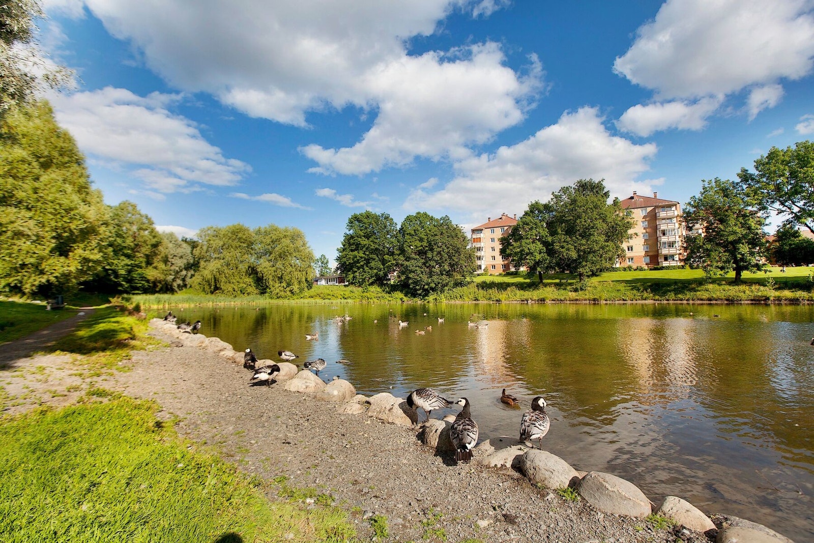 Kort gange til flotte grøntområder Galleribilde