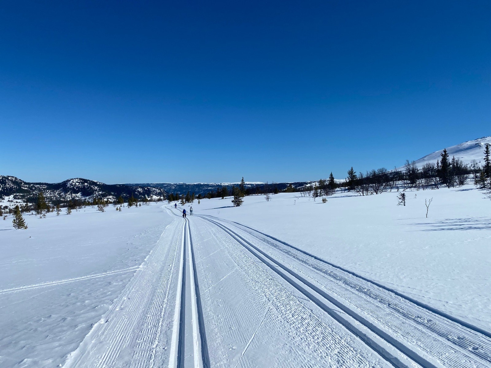 Milevis med preparerte skiløyper kort vei fra hytta. Galleribilde