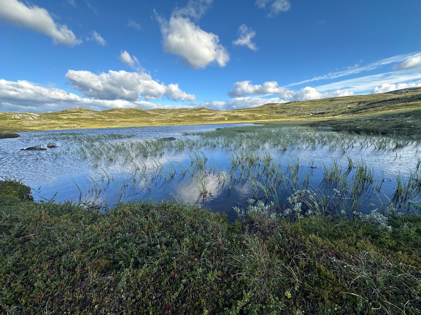 Flott turområde! Galleribilde