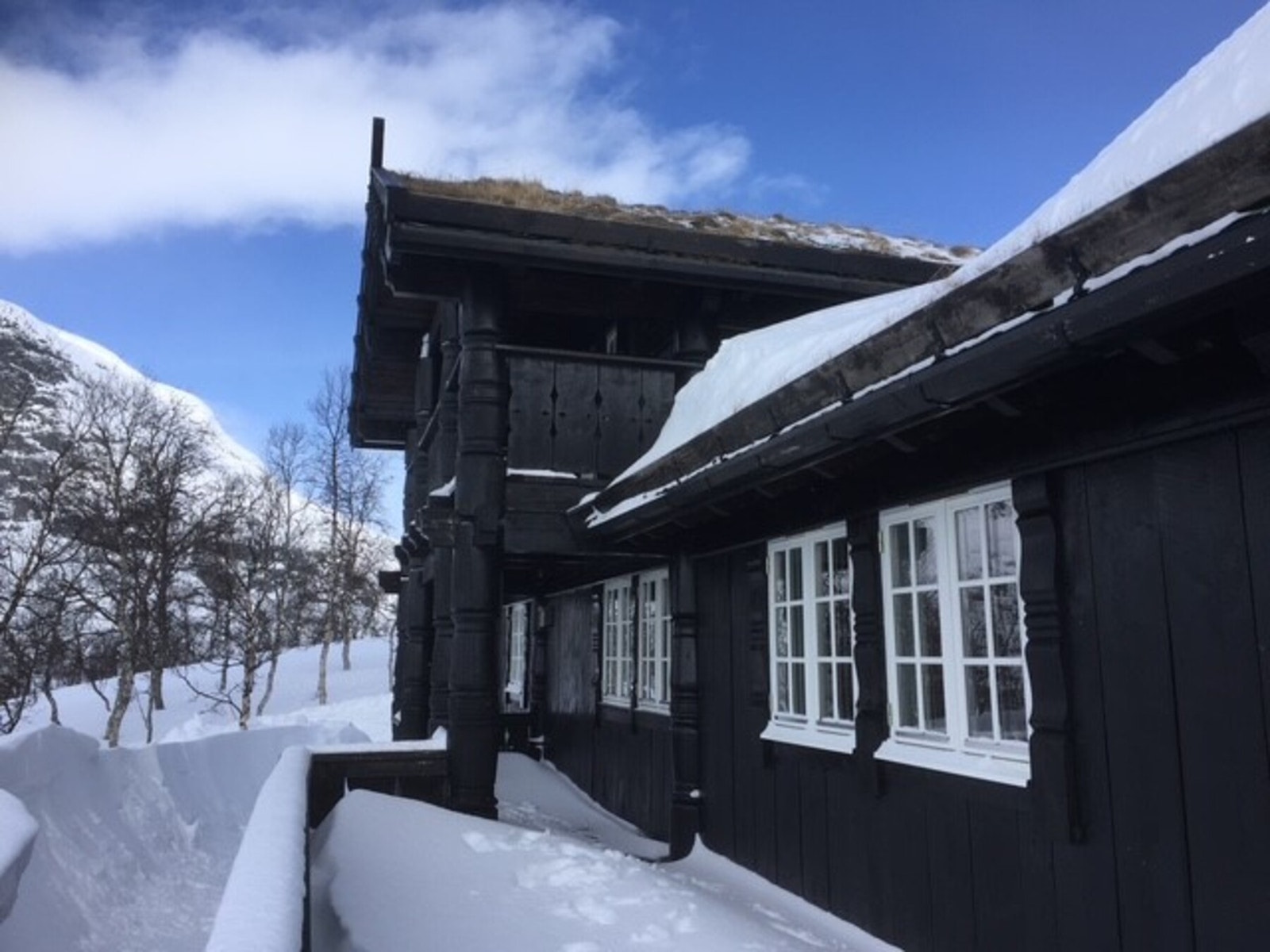 Vinterbilde fra selgers arkiv. Galleribilde