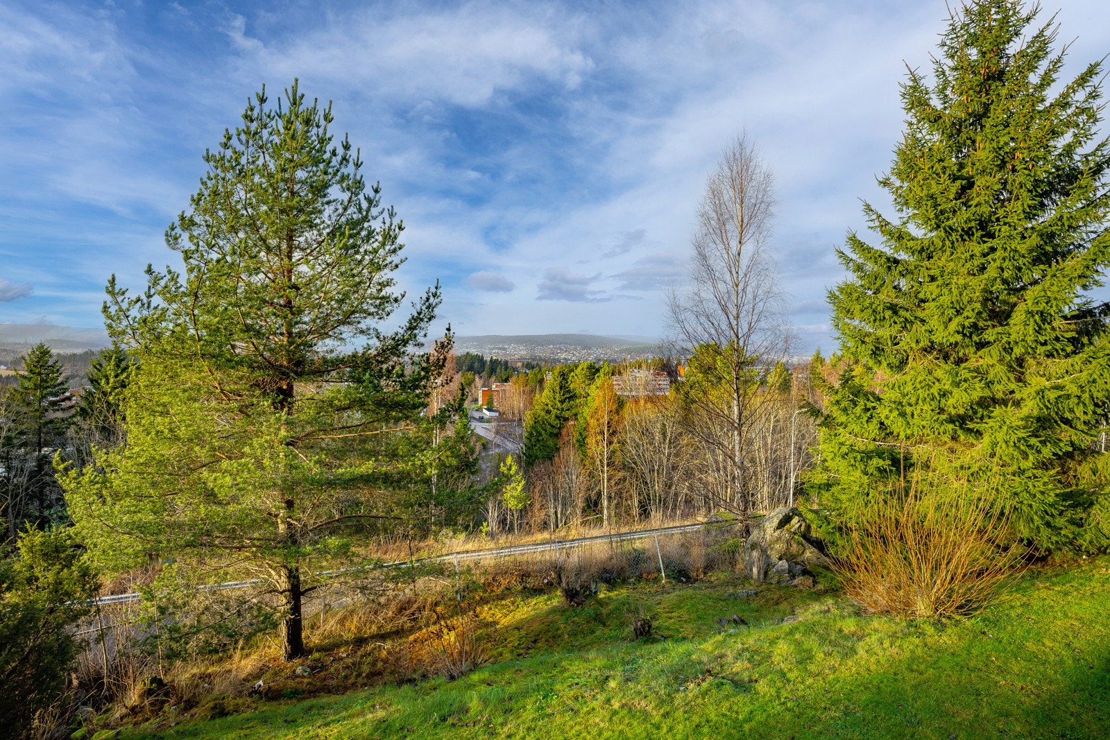 Utsikt fra terrassen. Galleribilde