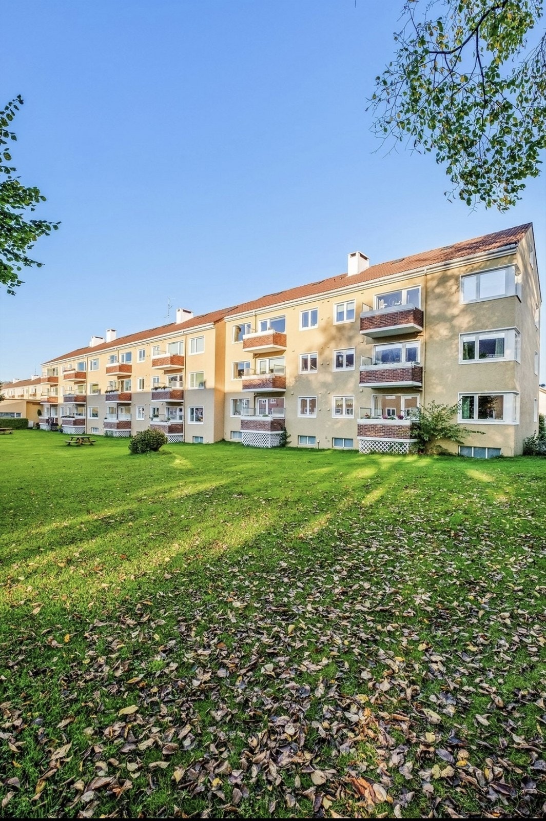 Velkommen til visning Galleribilde