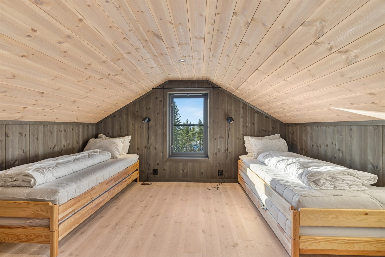 Hemsrom 1 Galleribilde