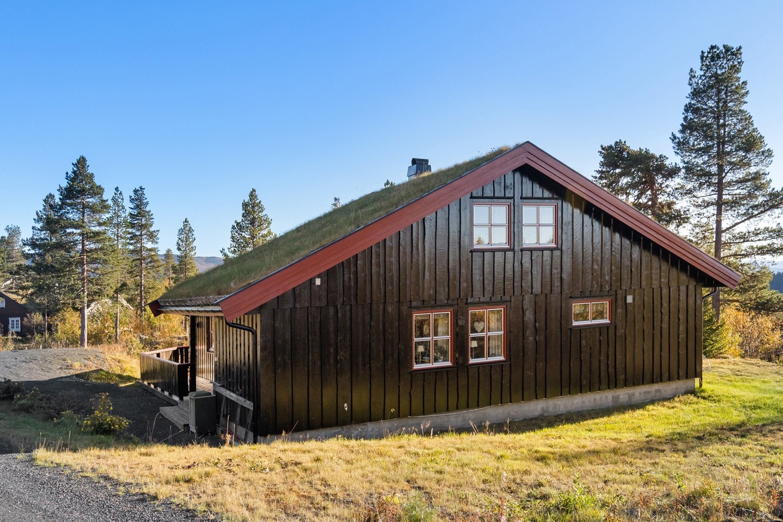 Pent opparbeidet uteområder tilbaketrukket i skogen med trær og naturlig vegetasjon Galleribilde