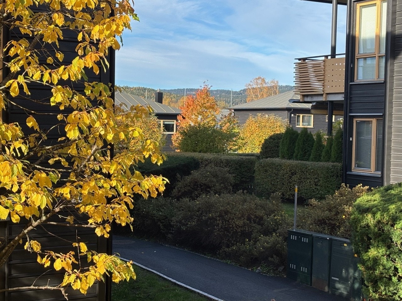 Flotte og vellholdte fellesarealer med flotte naturomeråder Galleribilde