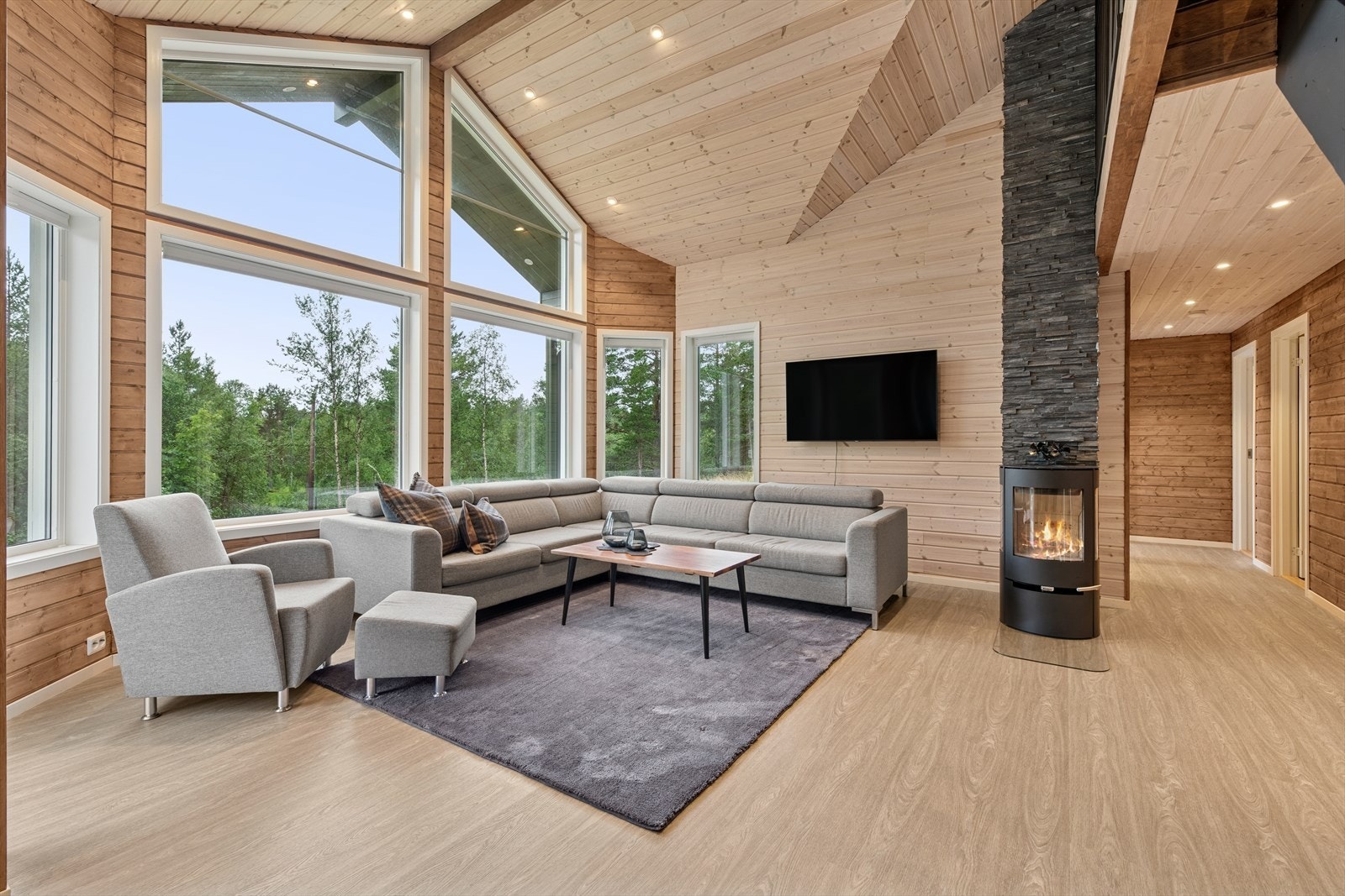 Her får du rikelig plass til en komfortabel sofagruppe, spisegruppe og tilhørende møbler, perfekt for avslapping og hyggelige sammenkomster. Galleribilde