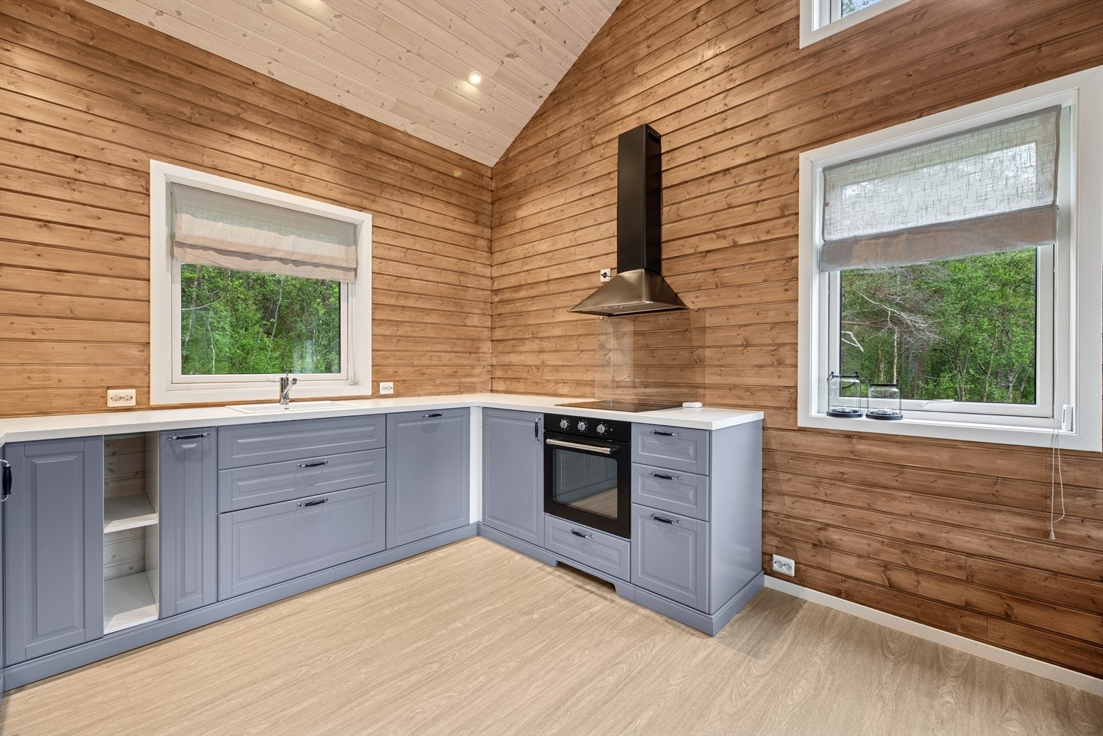 Vinduene gir tilgang til en naturskjønn utsikt. Galleribilde