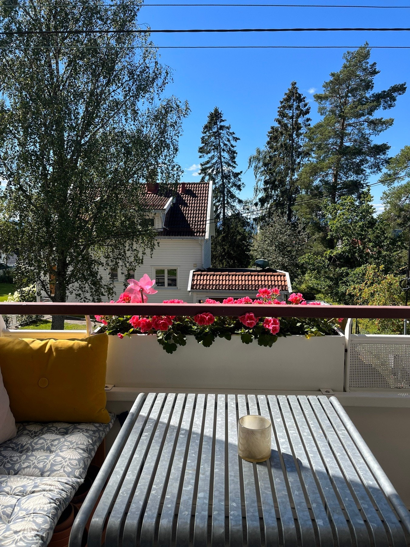 Sommerbilde tatt av selger Galleribilde