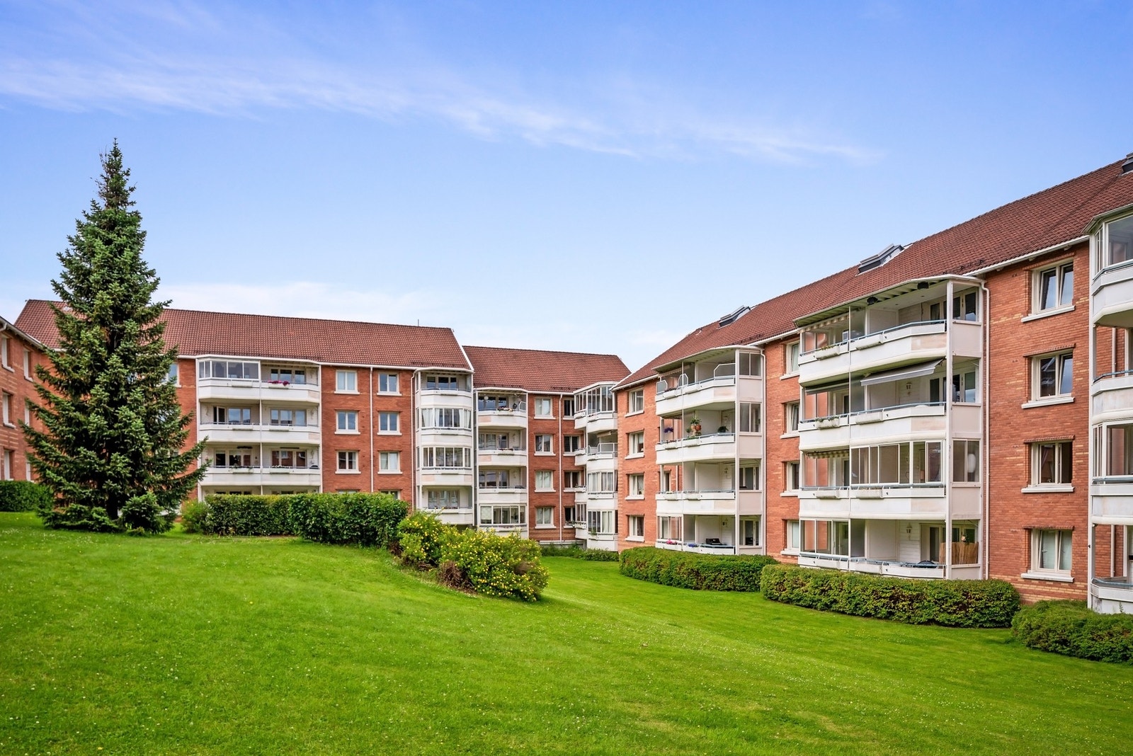 Felles gårdsrom i borettslag som er grønt og frodig i sommerhalvåret Galleribilde