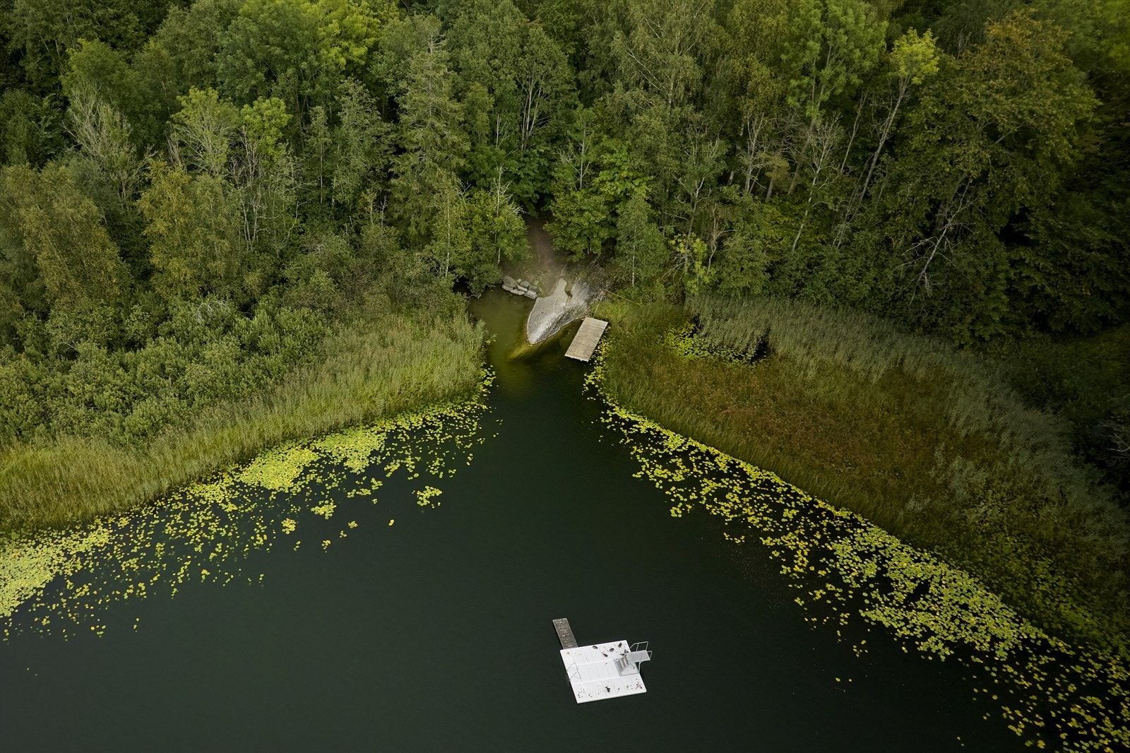 Andel i realsameie med kort vei til Hogstadvannet Galleribilde