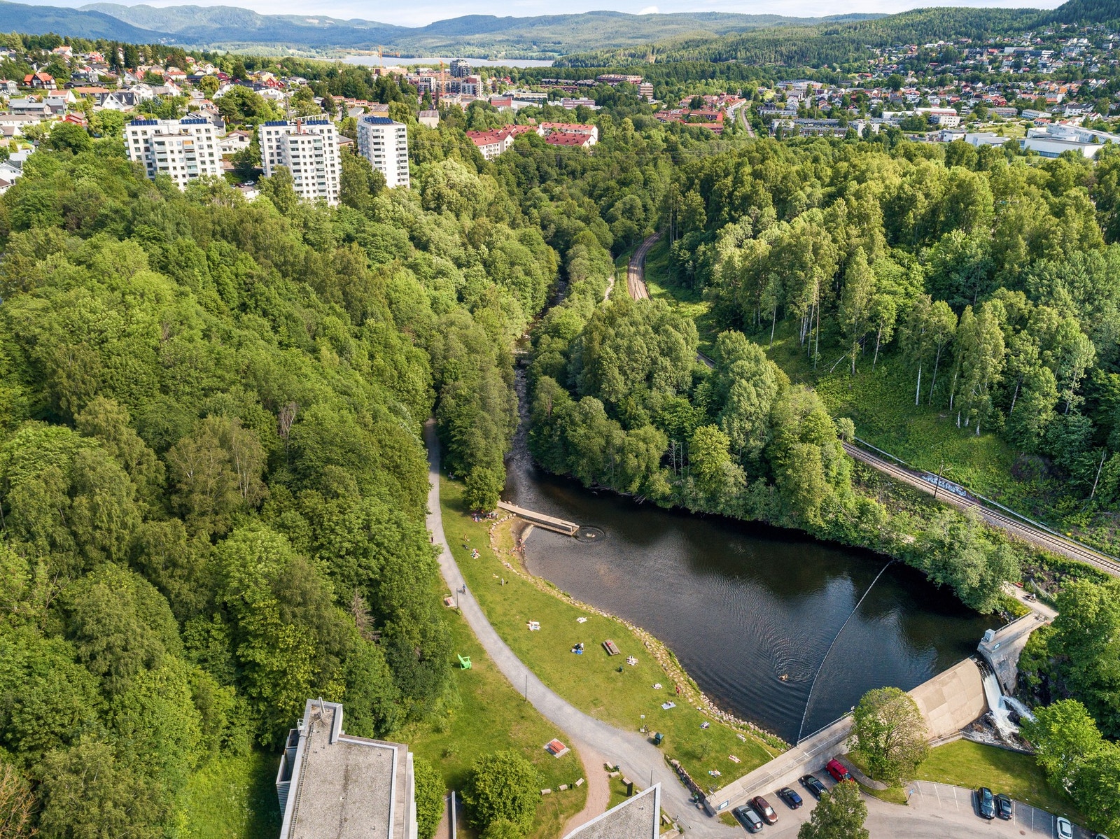 Nydalsdammen sommer Galleribilde