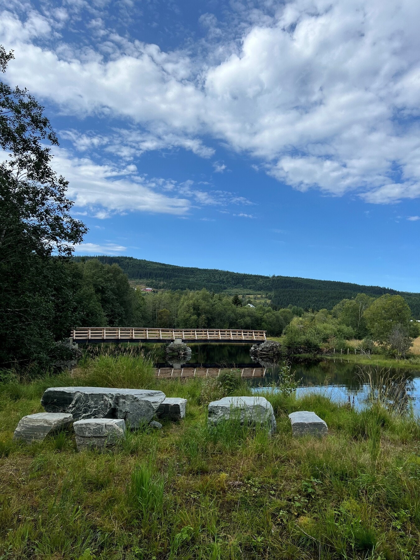 Selgers eget bilde av nærområdet. Galleribilde