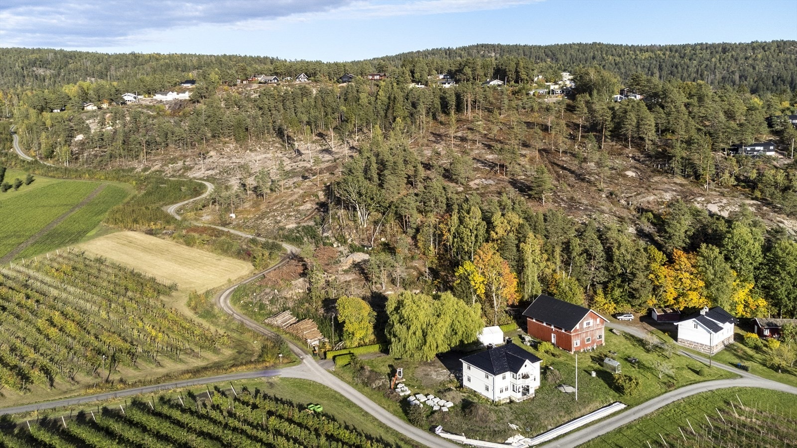 Nabofeltet i bakkant (der det er hugget) skal bebygges med nytt hyttefelt Galleribilde
