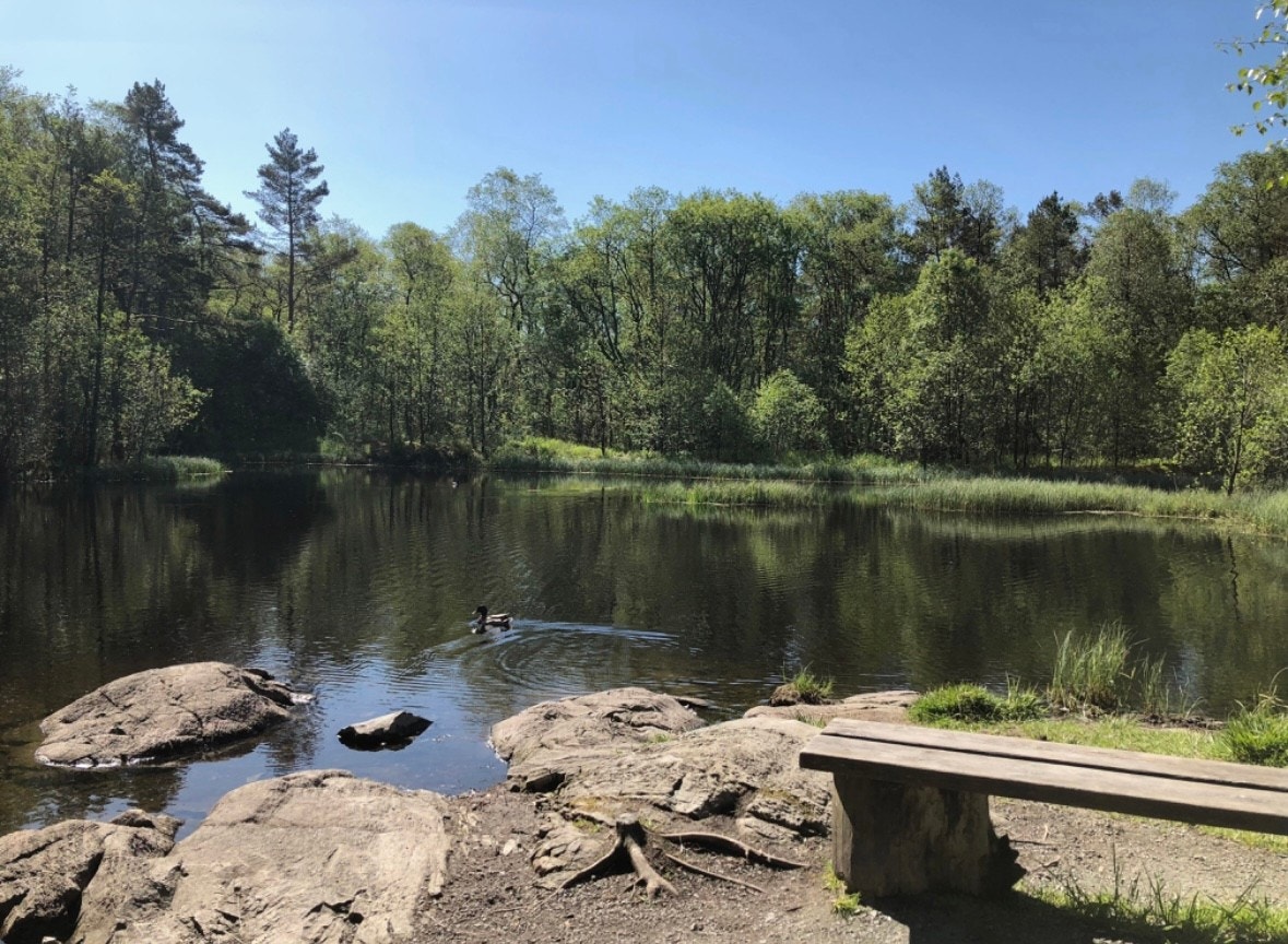 Fine turstier på Siljustøl. Galleribilde