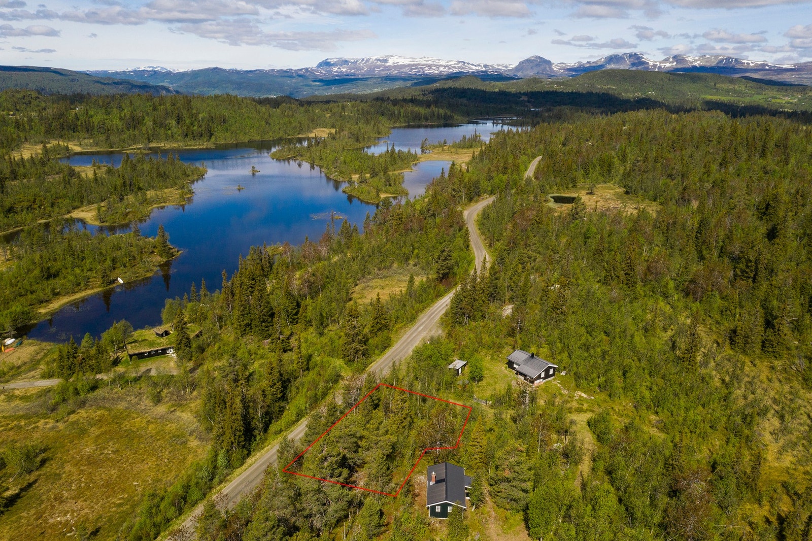 Foto: Terje Bjørnsen Galleribilde