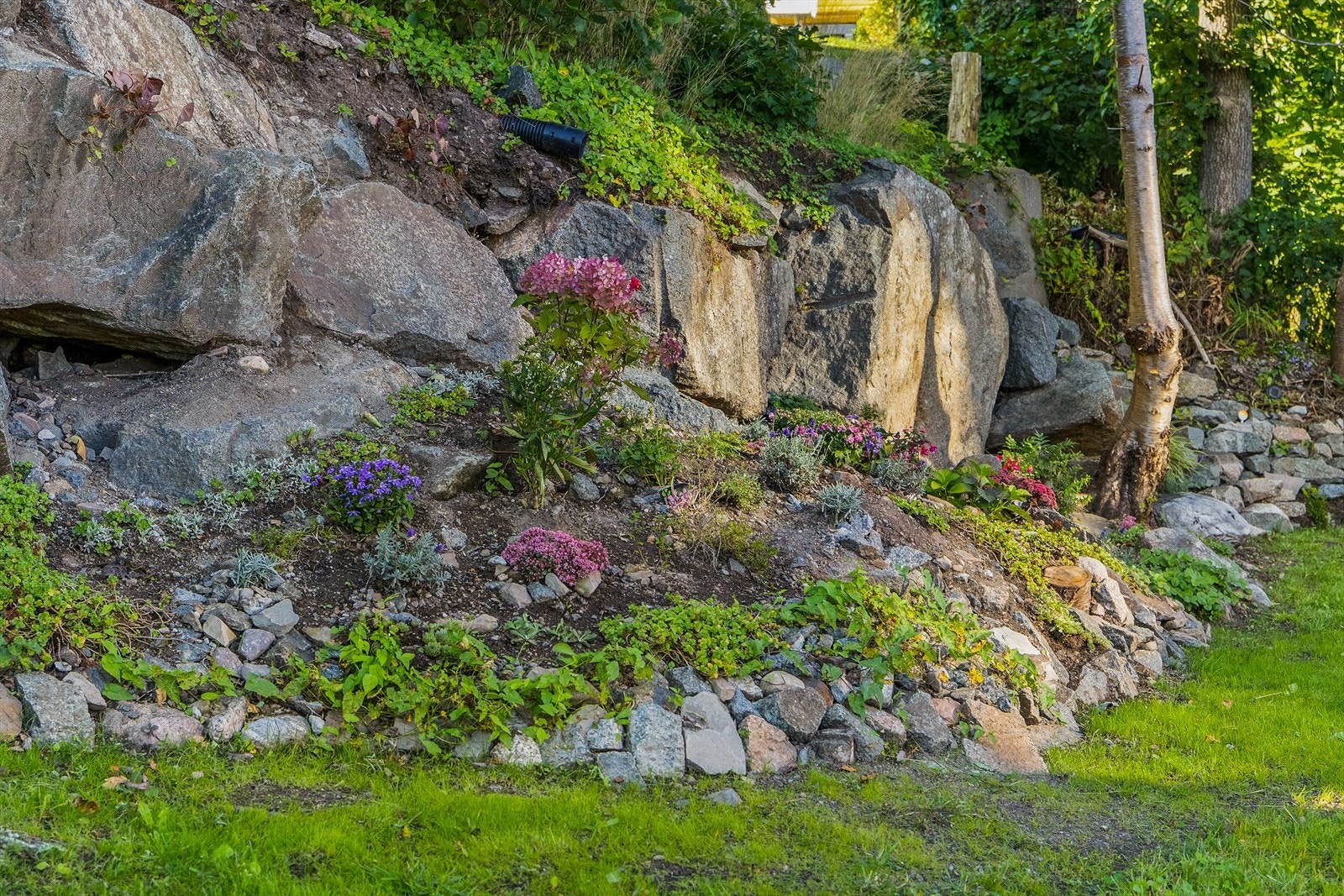 Koselig naturlig bed rett ved markterrassen med sommerblomster og stauder. Galleribilde