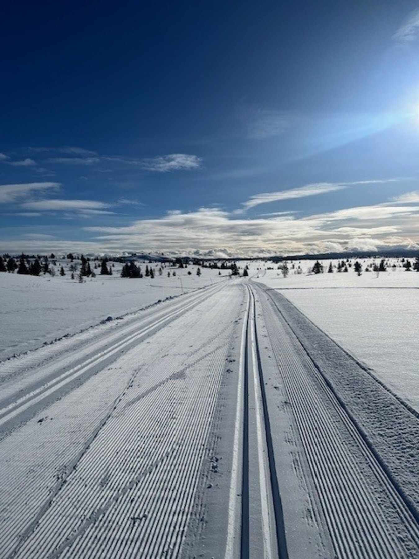 Selgers private bilde Galleribilde