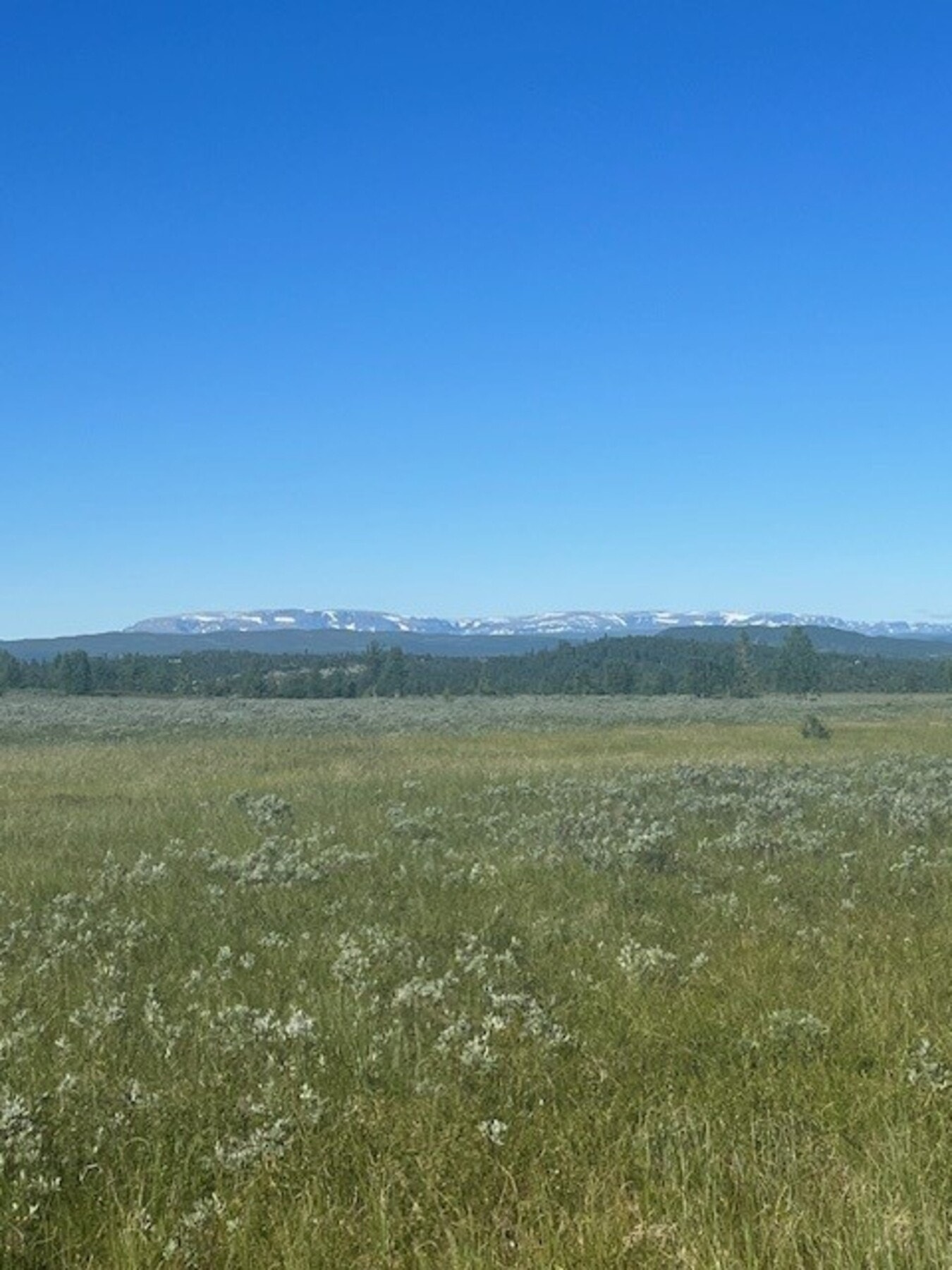 Selgers private bilde Galleribilde