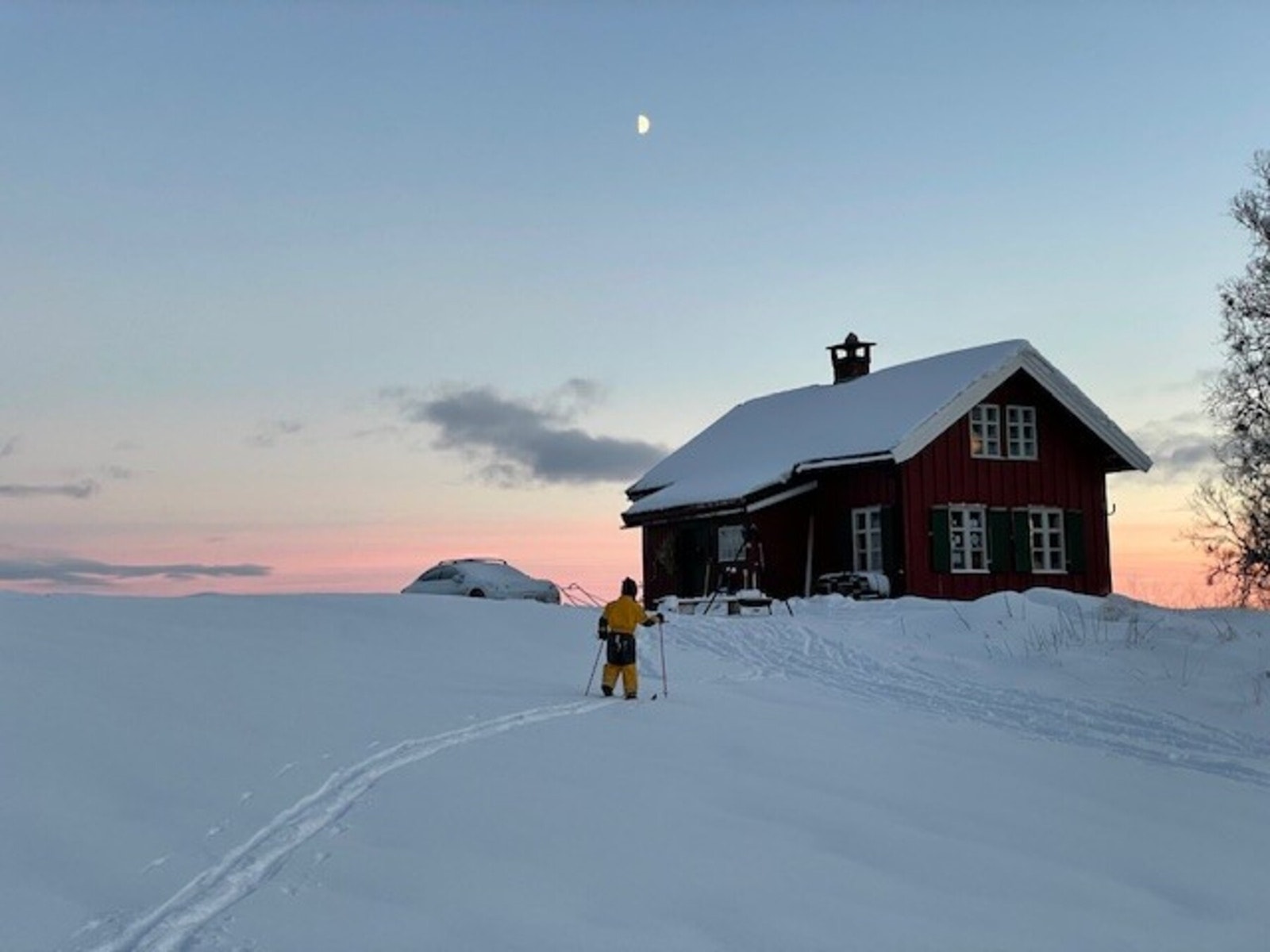 Selgers private bilde Galleribilde