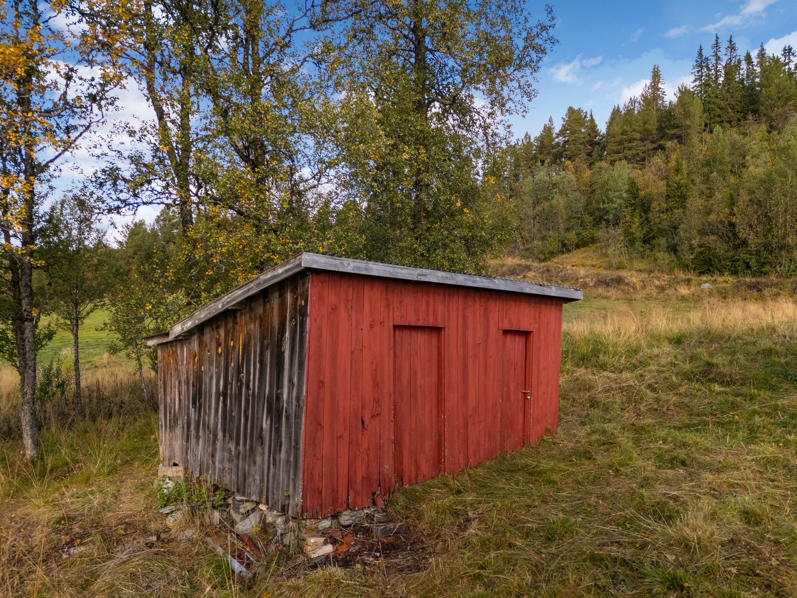 Uthus er i dårlig forfatning. Galleribilde